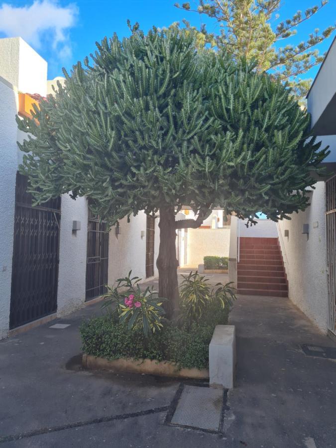Primavera Apartment Olga With Free Wifi Arona  Luaran gambar
